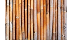 Asian Bamboo verkauft Rechte an vier Bambusplantagen
