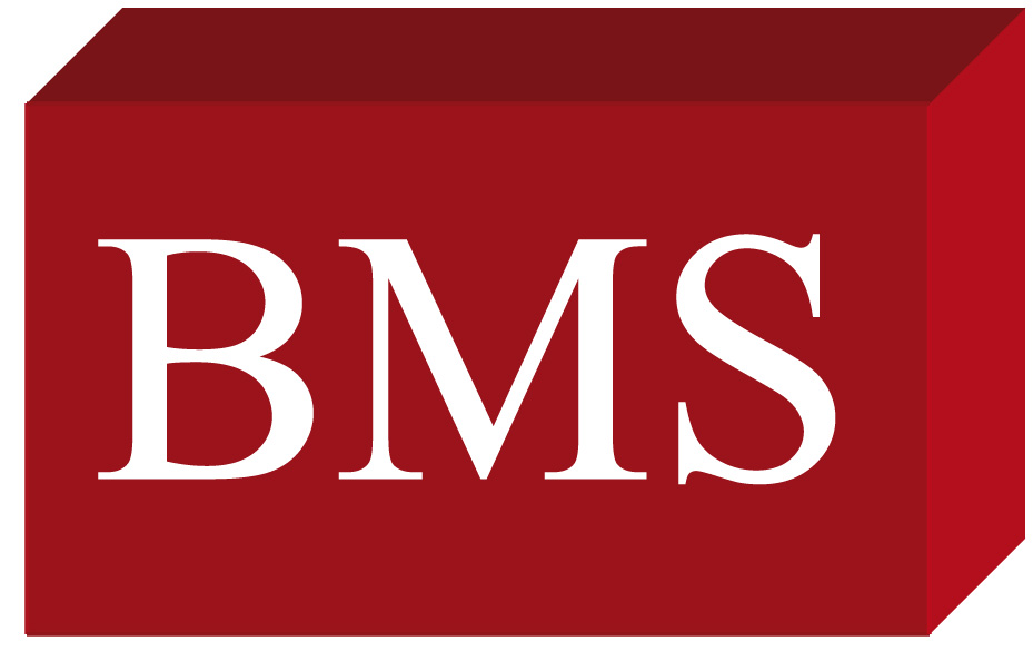 BMS Bond Management Support GmbH & Co. KG